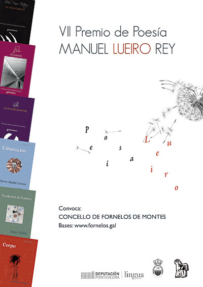 VII edición do Premio de Poesía Manuel Lueiro Rey